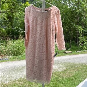 Style & Co. Blush Lace Long Sleeve Dress